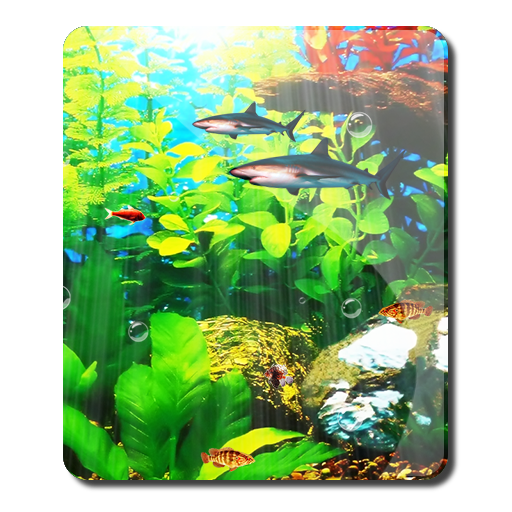Perfecto Aquarium Real Fish HD