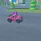 Pet Racing Kart Driving Game