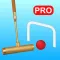 My Gate Ball Pro