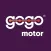 GoGo Motor