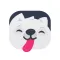 PetSensus - Dog.Walk.Talk