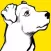 Pet's Heaven - Social Media