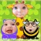 Baby Faces Photo Frames and Stickers