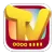 TV Replay