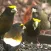 Bird and Bird Watching Updates