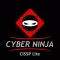 CISSP CyberNinja Lite
