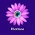 Phottoos