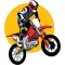 Motorcycle vehicle information