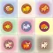 Animal Magic Pop