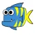 Fish Vs Box