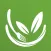 Healthy Eating: Meal Plans