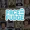 FaceFudge