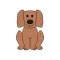 Dog Quiz (250+ Breeds)