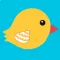 Flappy Chick: Bird watch game