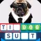 Picture vs Words: Word Guess
