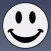 Smiley Face Picture Overlay™