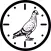 Pigeon Velocity Calculator