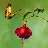 Hidden Garden Paradise Hidden Garden Paradise