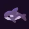 Cetaceans day