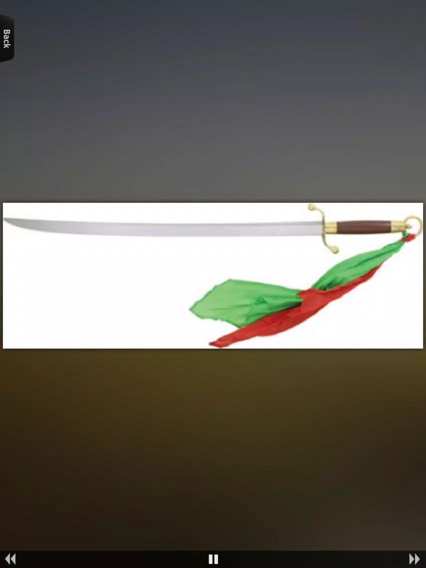 Swords Master iPad Screenshots