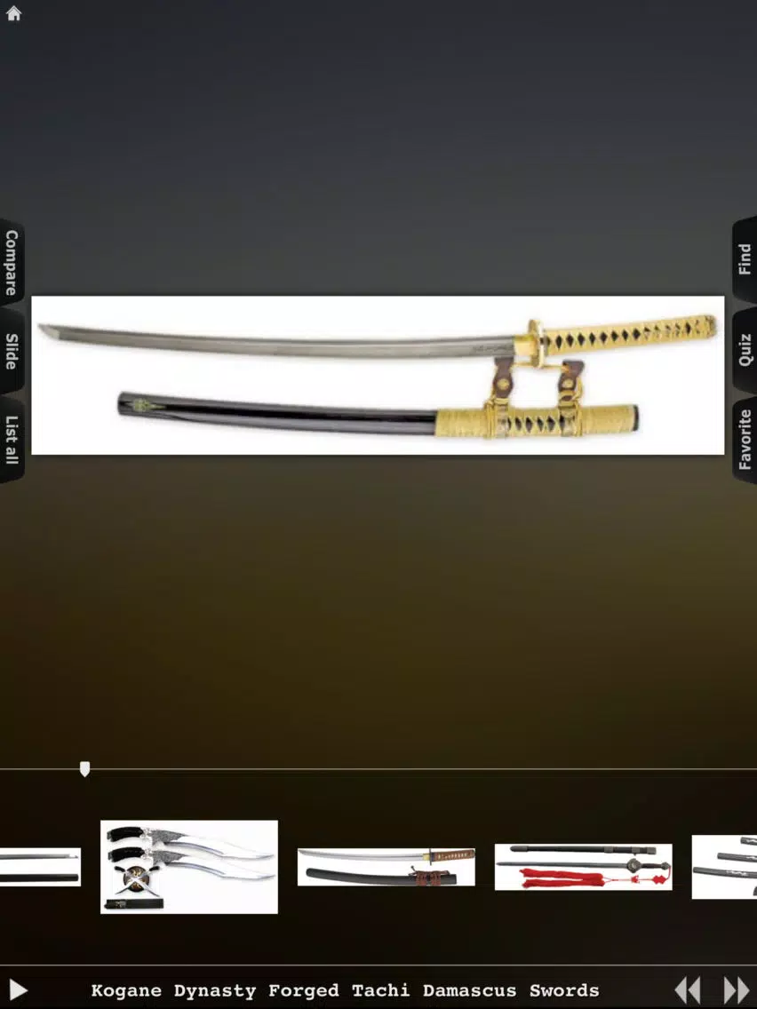Swords Master iPad Screenshots