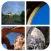 Pic a Word - What do these pics have in common?