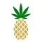 Pineapple Express Delivers!