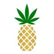 Pineapple Express Delivers! Pineapple Express Delivers!
