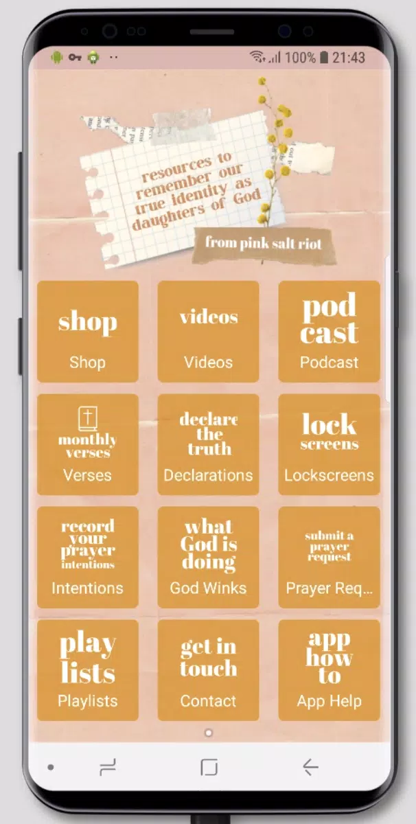 Pink Salt Riot Screenshots