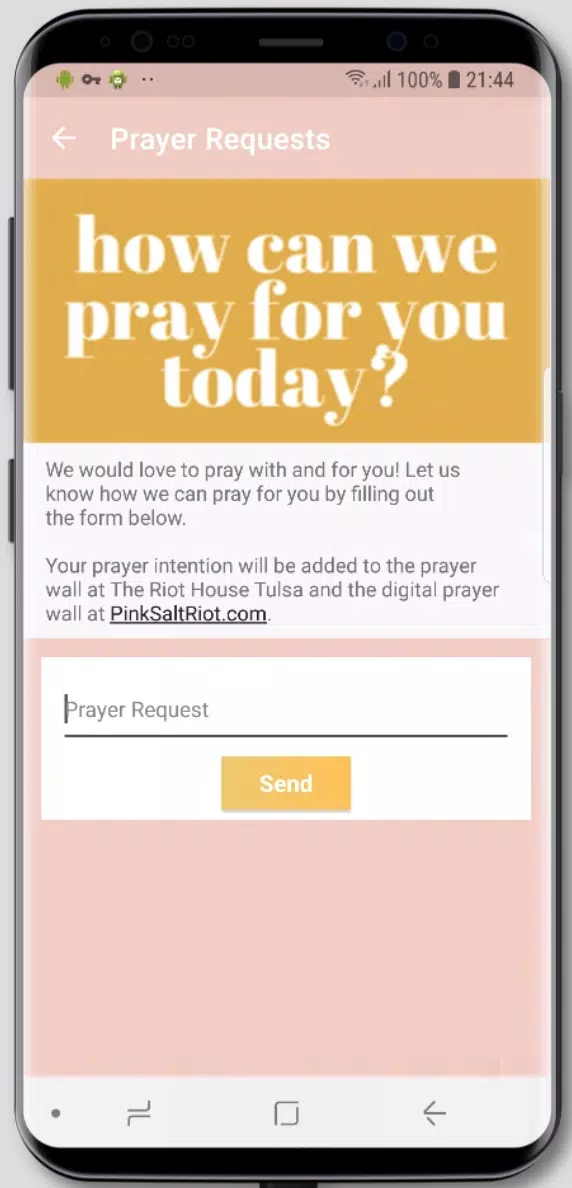 Pink Salt Riot Screenshots