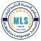 Al Madina School