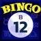 Video Bingo Malibu