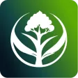 Green Punjab