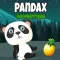 Pandax Adventure