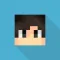 Pixelcraft - Minecraft Skins