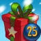 Christmas Gift Calendar