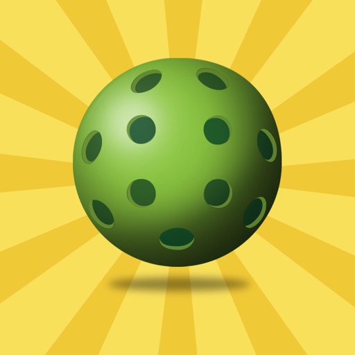 Pickleball Fun Pickleball Fun