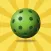 Pickleball Fun