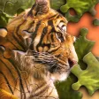 Jigsaw Puzzle Jigsaw Puzzle