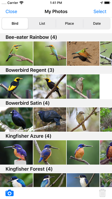 Pizzey and Knight Birds of Aus Screenshots