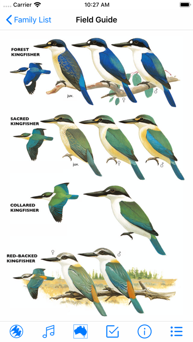 Pizzey and Knight Birds of Aus Screenshots