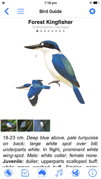 Pizzey and Knight Birds of Aus Screenshots