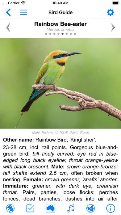 Pizzey and Knight Birds of Aus Screenshots