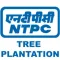 NTPC TreePlantation