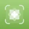 Plant ID: Plant Identifier App
