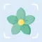 Plant Identification Care
