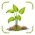 Plant Identifier &Disease Care
