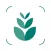 Plant identifier care guide