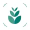 Plant identifier care guide