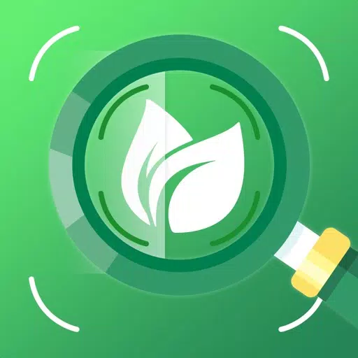 Plant & Flower Identification Plant & Flower Identification